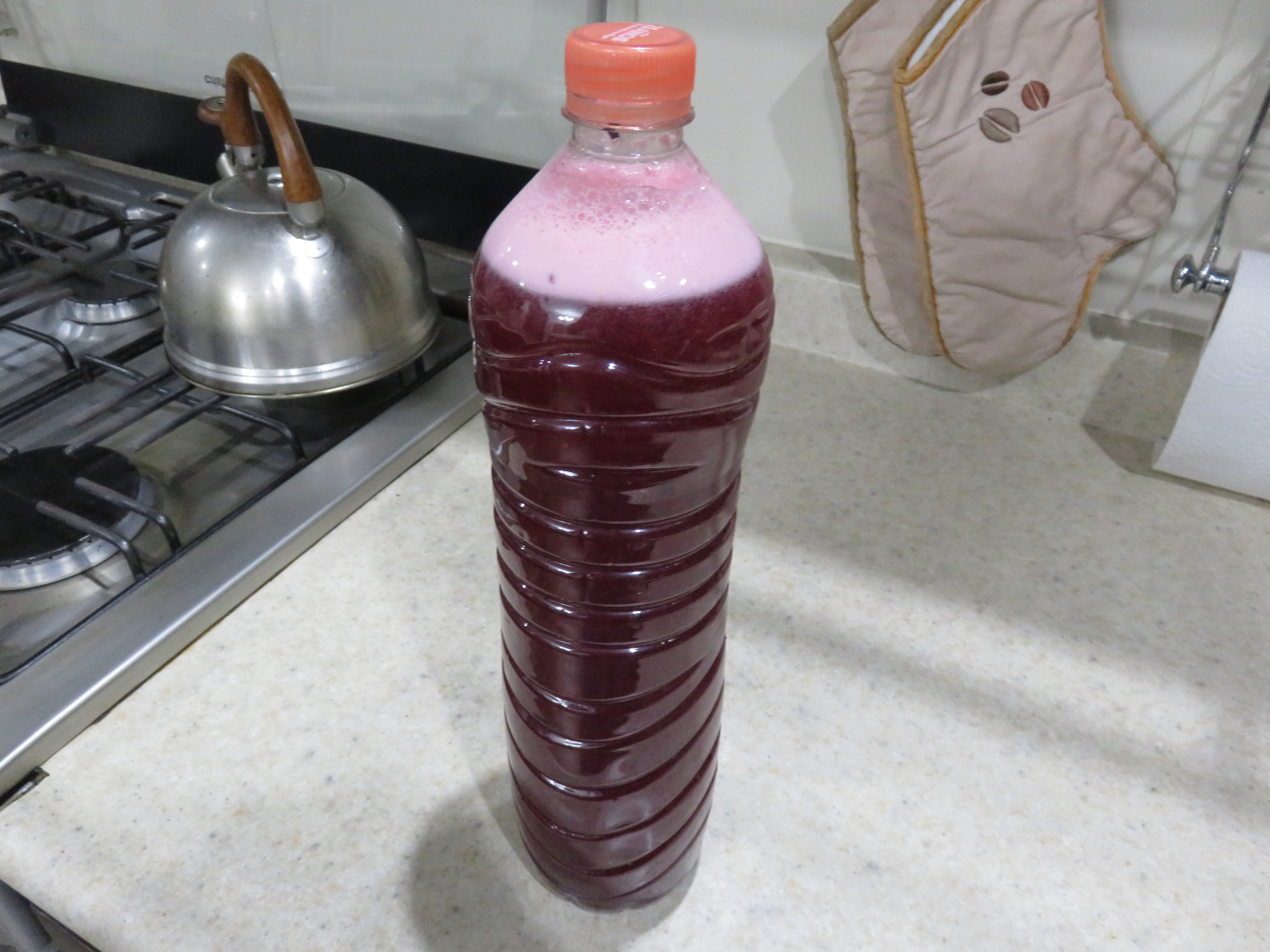 Refresco de moras listo para iniciar fermentación